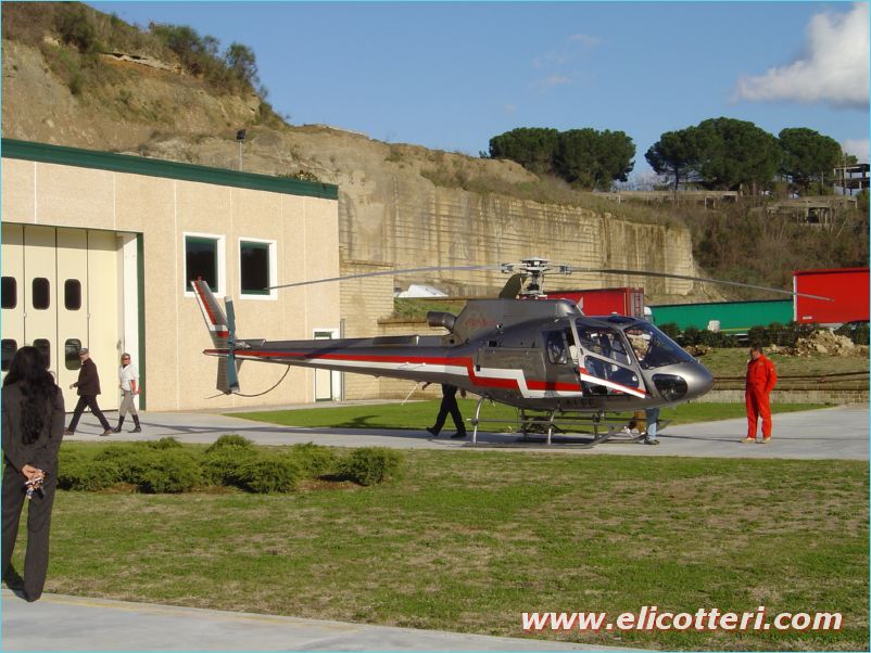 elifoto (245)